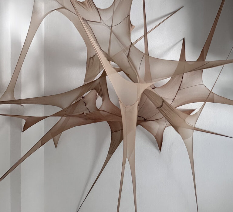 Mehr über den Artikel erfahren RESPECT DU MONDE